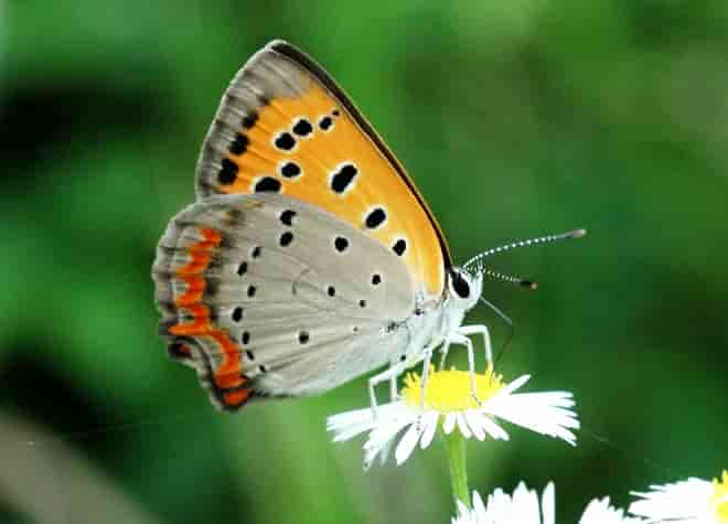 �x�j�V�W�~